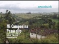 Mi campesina. Pasacalle ecuatoriano de Música Campesina