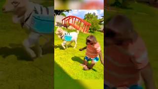 Dog and monkey friendship #funny #viral #trending #shorts