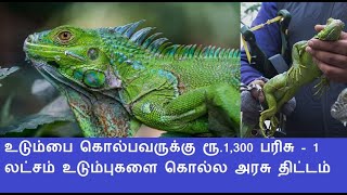 உடும்பை கொல்பவருக்கு ரூ.1,300 பரிசு - 1 லட்சம் உடும்புகளை கொல்ல அரசு திட்டம்