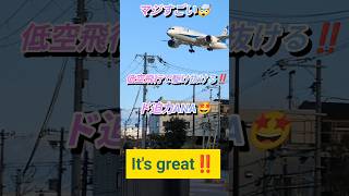 【マジすごい🤯低空飛行で駆け抜ける‼️ド迫力ANA🤩】#ANA #plane #飛行機 #飛行場 #비행기 #shorts #伊丹空港 #オススメスポット #JAL #airport