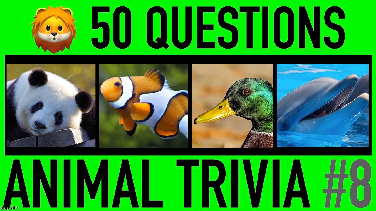 Animal Trivia Quiz 8 50 Animals Knowledge Trivia Questions And