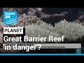 Ocean warming: UN weighs listing Great Barrier Reef as 'in danger' • FRANCE 24 English