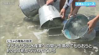 【稚魚の放流体験】地元の小学生がヒラメの稚魚を放流　三重・尾鷲市