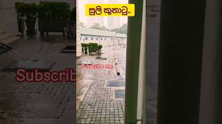 බුදු අම්මෝ..😱😱#viral #youtubeshorts #subscribe #trending #thunder