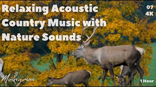 Relaxing Acoustic Country Music with Nature Sounds | 4K