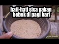 SISA PAKAN BEBEK HARUS DI GANTI DENGAN YANG BARU. vlog jutik humble