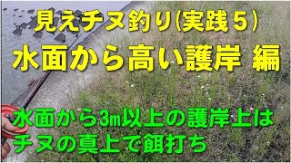 見えチヌ釣り（実践５）水面から高い護岸。水面から3m以上の護岸上はチヌが気付かない真上で餌打ち【前打ち／ヘチ釣り／落とし込み／河川／クロダイ／黒鯛／カニ／釣り方／テクニック】