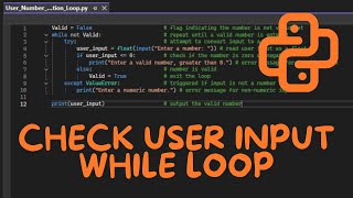 Python Input Validation Tutorial — How to Validate Numeric User Input (Beginner-Friendly Guide)