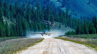 Bush Bonanza in the Backcountry