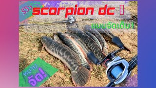 Shimano scorpion dc รีวิวพร้อมใช้งานจริง สมราคาเหมือนกันนะเนี่ย