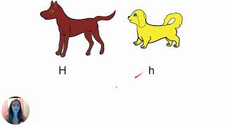 Punnett Square Puppies