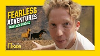 Rescuing Wild Australian Horses | Fearless Adventures with Jack Randall