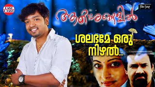 Shalabhame Oru Ithal || ശലഭമേ ഒരു  ഇതൾ തേടി ||  Nikhil Raj || Akashangalil || Malayalam Film Song