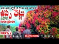 ఉప్ప చెట్లు ఇధొక మారో రంగుల ప్రపంచం uppa trees 🎄 tribal o story