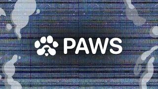 PAWS🐾TGE , LISTING,PRICE AND THE HYPE‼️ HYPE OR NOT