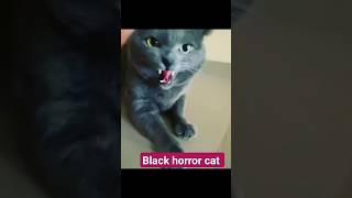 Horror cat sound||cat voice horror||black cat short #catsounds #cat#animals