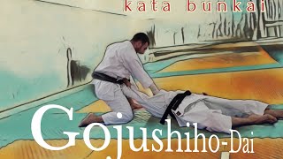 Armenian team Gojushiho-Dai kata bunkai