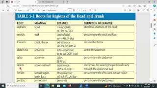 Dr/Toka Waleed (Medical Terminology )