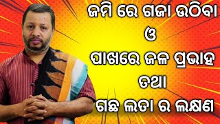 ଆଶାନ୍ତୁ ଜାଣିବା ଜମି ରେ ଗଜା ଉଠିବା,ଓ ପାଖରେ ଜଳ ପ୍ରଭାହ ତଥା ଗଛ ଲତା ର ଲକ୍ଷଣ II #mahavidyastro II👏👏👏👏