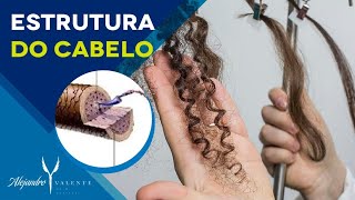 Estrutura do cabelo | Cutícula, Córtex e medula. Entenda