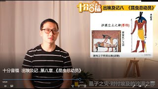 十分音福  出埃及记  第八章 《昆虫总动员》