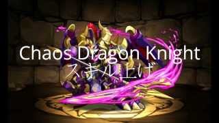 Chaos Dragon Knight　part１ 　カオスドラゴンナイトスキル上げ