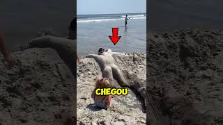 As pessoas na praia não acreditaram no que viram 😮