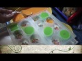 making a dadih fruit pudding mysweetcocoa