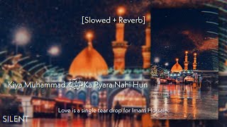 Kiya Muhammad Ka Pyara Nahi Hun [Slowed + Reverb] SILENT