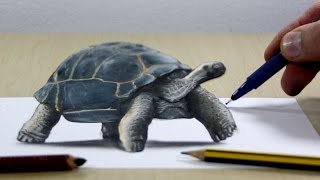Trick Art on Paper, Painting 3D Turtle