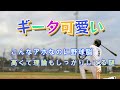 柳田悠岐の●●の子エピソード１２連発