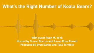 Free Thoughts, Ep. 203: What's the Right Number of Koala Bears? (with Ryan M. Yonk)