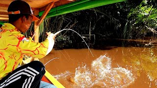 Strike tak terduga,, senar pancing nyaris habis ditarik ikan besar saat mancing udang galah.