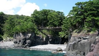 Yajiさんの 旅の道草 伊豆城ヶ崎海岸 前編 【Izu Jyougasakikaigan, First part】