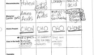 macromolecules video chart