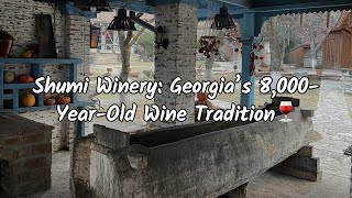 🍷 Inside Shumi Winery : Georgia’s 8,000-Year-Old Wine Tradition Revealed🇬🇪