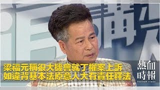 梁福元稱很大機會就丁權案上訴　如違背基本法原意人大有責任釋法