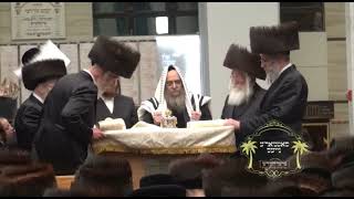 Satmar Rebbe R' Aharon Leining the Megilah -  Purim 5782