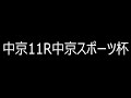 中京スポーツ杯　20230311　競馬予想　レイニーデイ3着的中