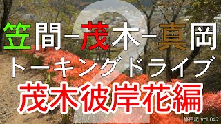 【3夜連続企画】笠間・茂木・真岡 トーキングドライブ #02 茂木彼岸花編 【関東日帰りドライブ vol.030】