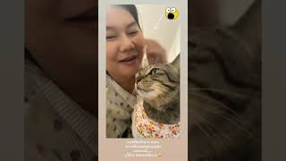 ทำกับแม่ได้ลงคอนะลูกสุดที่รัก⁉️#shorts #cat #catlover #cute #funny #comedy #tiktok #pet #แมว #แมวมึน