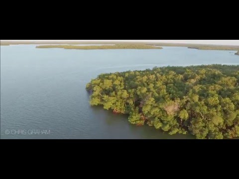 The Everglades 4k Aerial Video Youtube