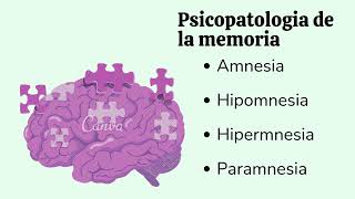 Memoria. Psiquiatría