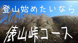 【俵山】俵山峠登山口はススキ祭り【2020年10月】