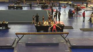 Tiana Gymnastics | USAG level 6 NY States (2019.05.04)