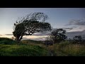 Dub Techno Session #47