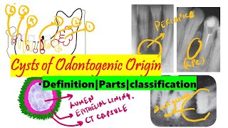 Cysts of Odontogenic origin | DETAILED Introduction | Parts| Classification | ODONTOGENIC CYSTS MCQs