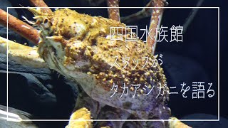 【四国水族館】四国水族館スタッフの話＃4