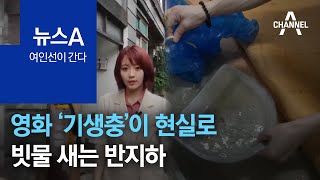 [여인선이 간다]영화 ‘기생충’이 현실로…빗물 새는 반지하 | 뉴스A