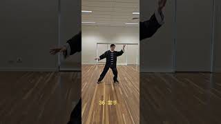 吳式鄭家太極  - 119式方拳 | Wu Style Tai Chi Square Form 119 Styles